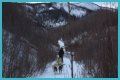 Unveiling The Next Generation Of Alaskan Pioneers: Life Below Zero Explored