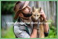 Unveiling The Secrets Of Coyote Peterson's Age: Discoveries And Insights